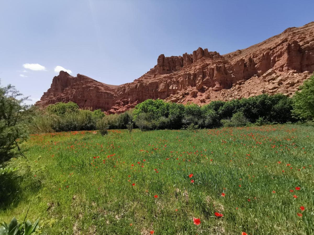 Bab El Atlas Kelaat-M'Gouna Exteriér fotografie