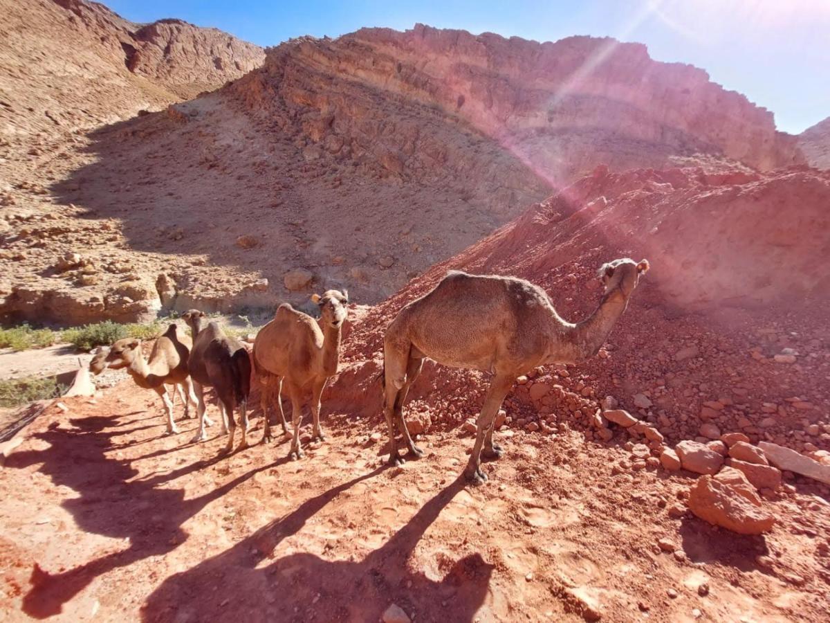 Bab El Atlas Kelaat-M'Gouna Exteriér fotografie